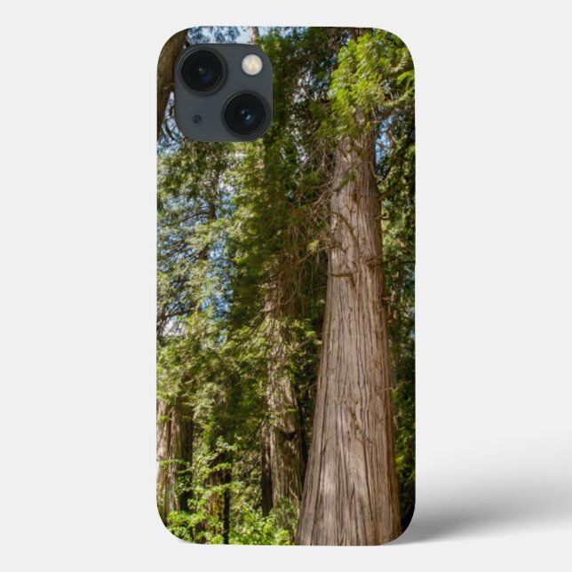Western Red Cedar Trees Case-Mate iPhone Case (Back)