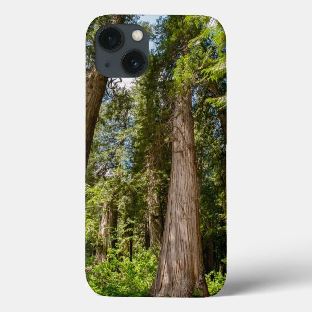 Western Red Cedar Trees Case-Mate iPhone Case (Back)