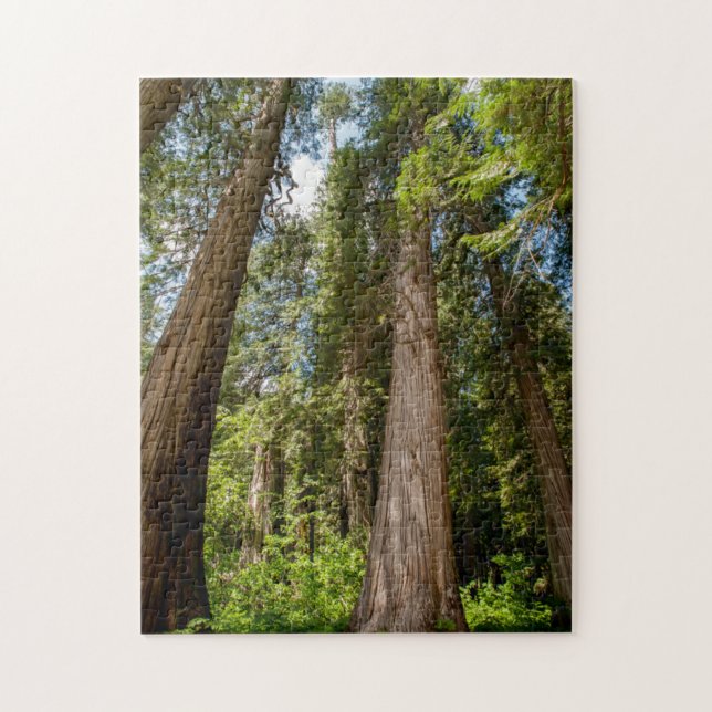 Western Red Cedar Trees Jigsaw Puzzle (Vertical)