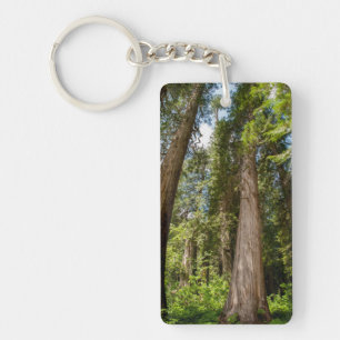 Western Red Cedar Trees Keychain