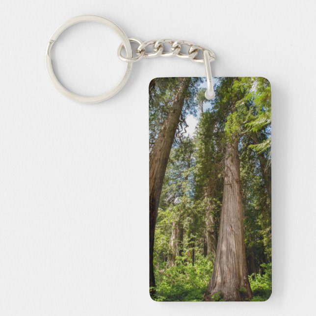 Western Red Cedar Trees Keychain (Front)