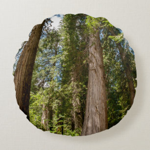 Western Red Cedar Trees Round Pillow