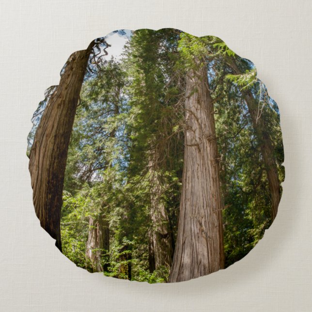 Western Red Cedar Trees Round Pillow (Front)