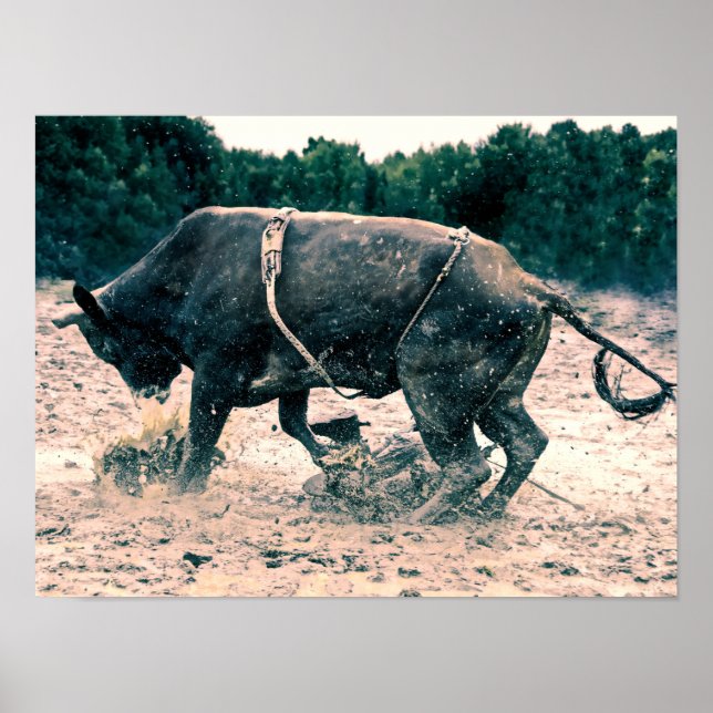 Western Rodeo Black Bull Country Cowboy Rustic Poster (Front)