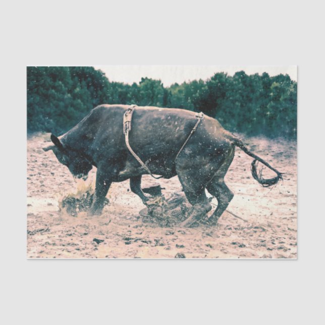 Western Rodeo Black Bull Country Cowboy Rustic Tissue Paper (Front)