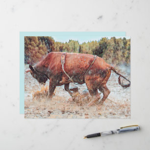 Western Rodeo Bull Country Cowboy Vintage Rustic