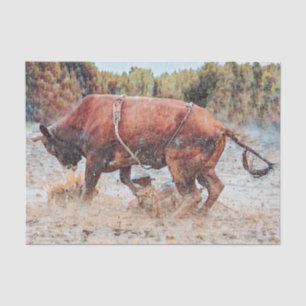 Western Rodeo Bull Country Cowboy Vintage Rustic Tissue Paper