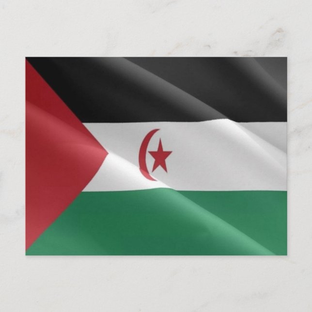 Western Sahara - Flag - Postcard (Front)