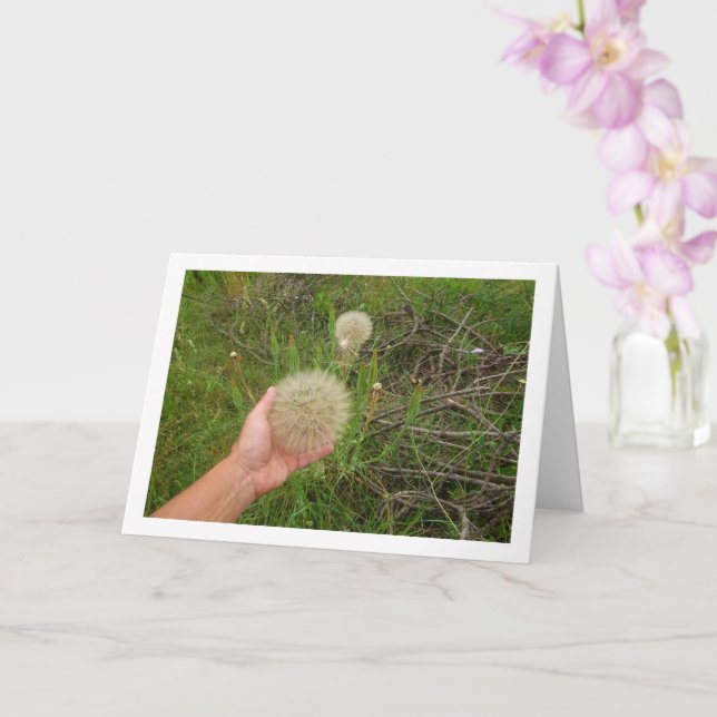 Western Salsify Plants Card (Orchid)