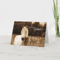 Western Sepia White Horse Blank