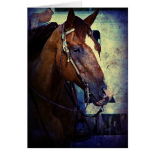 Western Sorrel Grunge