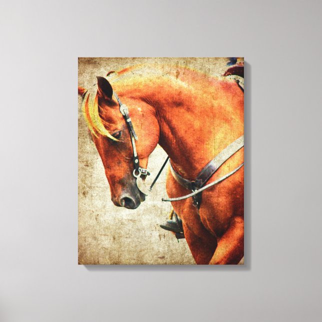 Western Sorrel Horse Canvas Print (Front)