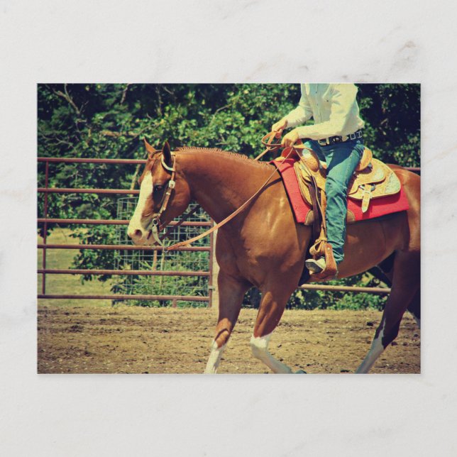 Western Sorrel Postcard (Front)