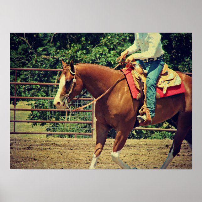 Western Sorrel Poster (Front)