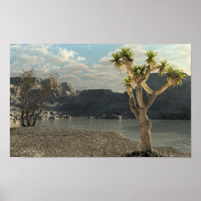 Western Stream Poster (Front)