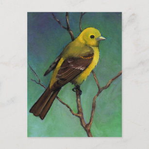 Western Tanager: Bird in Oil Pastel Postcard