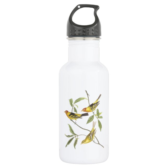 Western Tanager by Audubon 532 Ml Water Bottle (Front)
