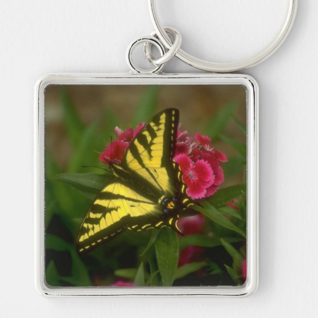 Western Tiger Swallowtail (7) Keychain (Front)