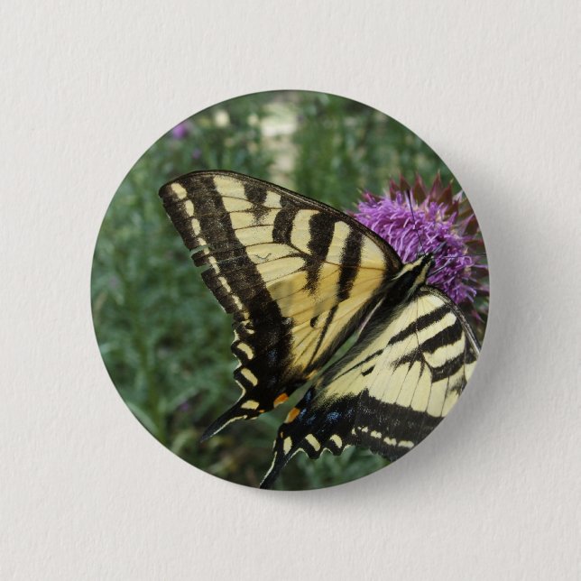 Western Tiger Swallowtail Butterfly 2 Inch Round Button (Front)