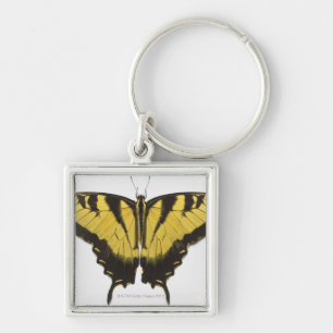 Western Tiger Swallowtail Butterfly Keychain