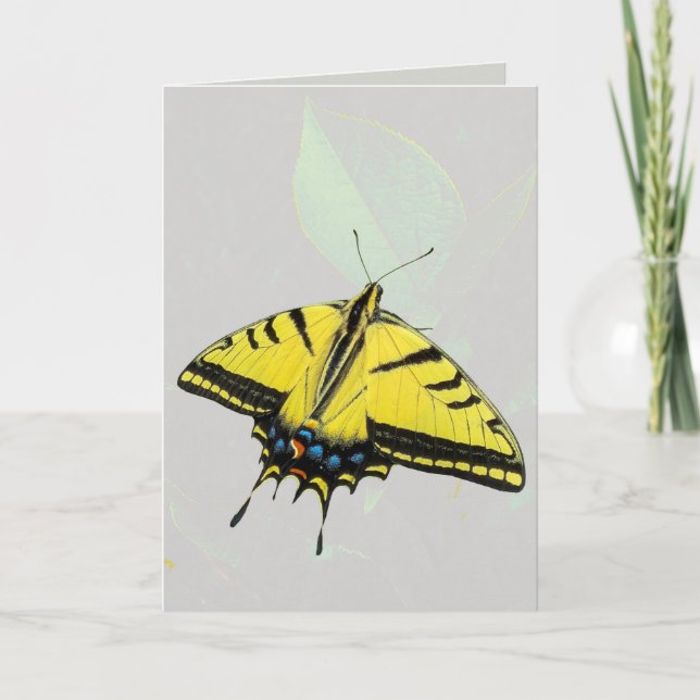 Western Tiger Swallowtail Butterfly & leaf  Card (Front)