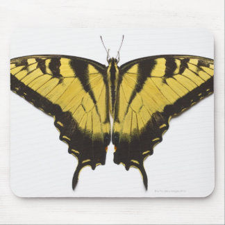 Western Tiger Swallowtail Butterfly Mouse Pad