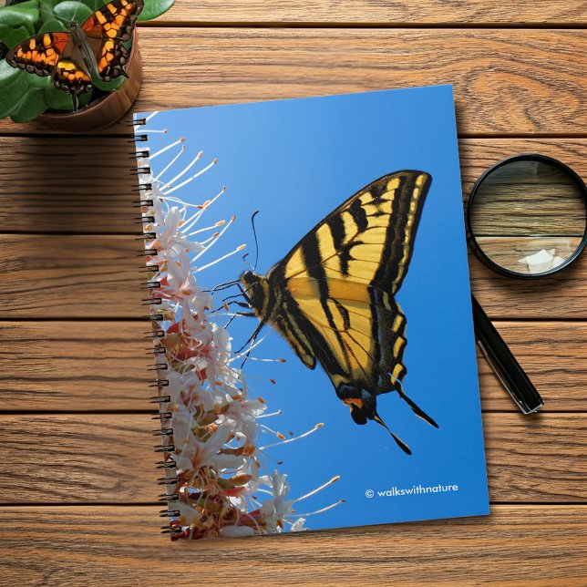 Western Tiger Swallowtail Butterfly on the Buckeye Notebook (Western Tiger Swallowtail Butterfly on the Buckeye Journal Cover Photo)