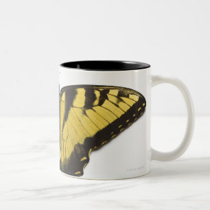 Western Tiger Swallowtail Butterfly Two-Tone Coffee Mug