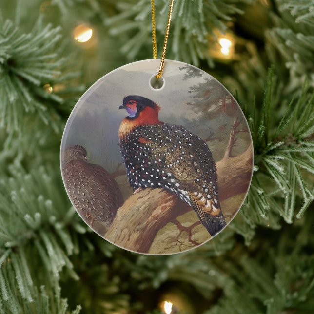 Western tragopan, Bird Illustrations Ceramic Ornament (Tree)