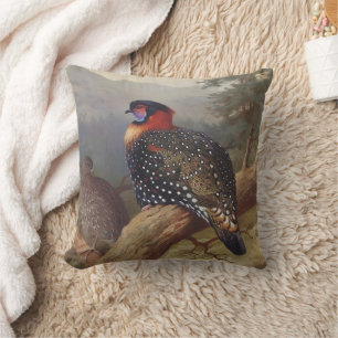 Western tragopan, Bird Illustrations Throw Pillow
