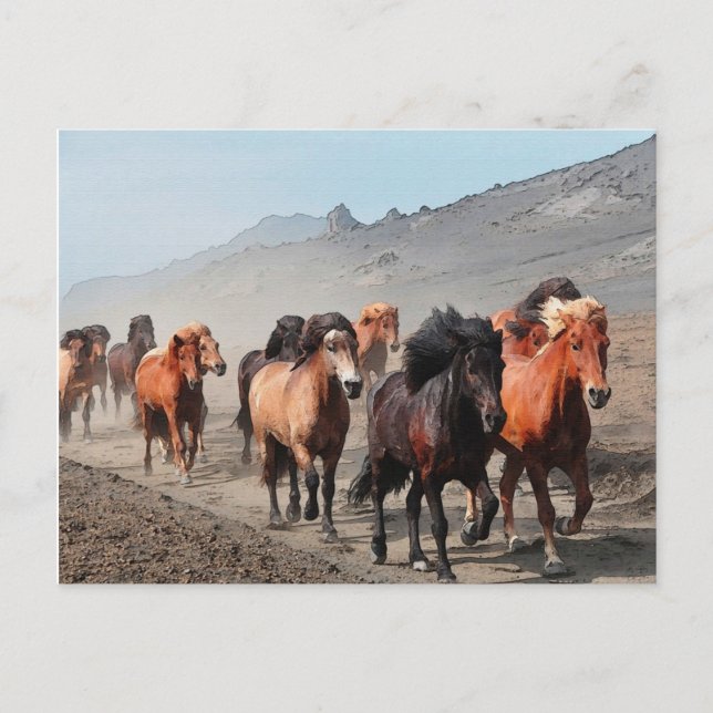 Western Trail Postcard (Front)