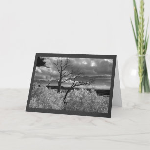 Western Tree with dark grey border Holiday Card