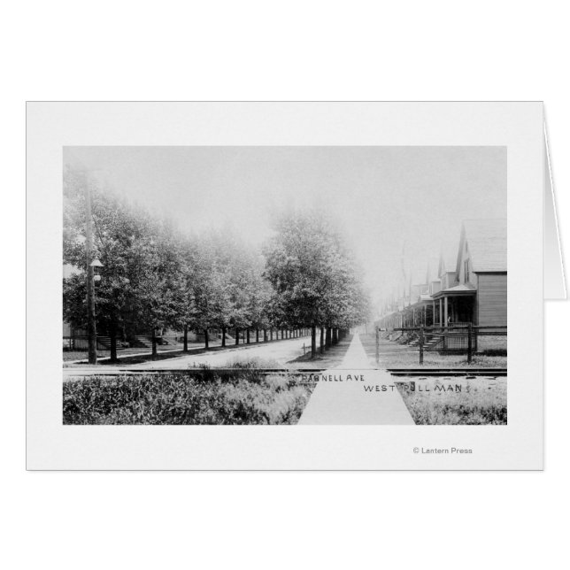 Western View of Parnell Avenue (Front Horizontal)