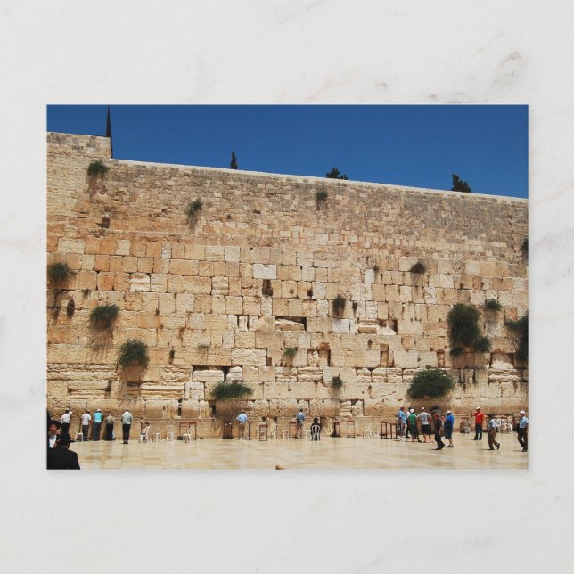 Western Wall, Jerusalem post card (Front)