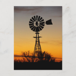 Western Windmill Postcard