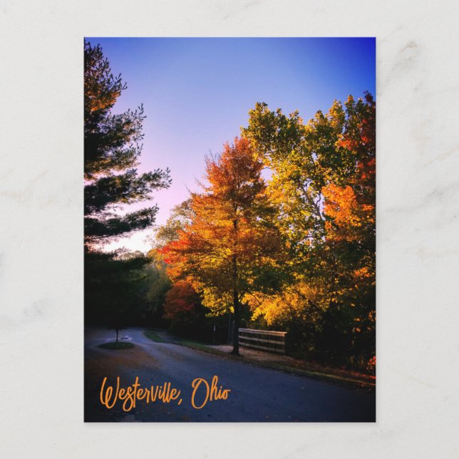 Westerville Ohio in Autumn Postcard (Front)