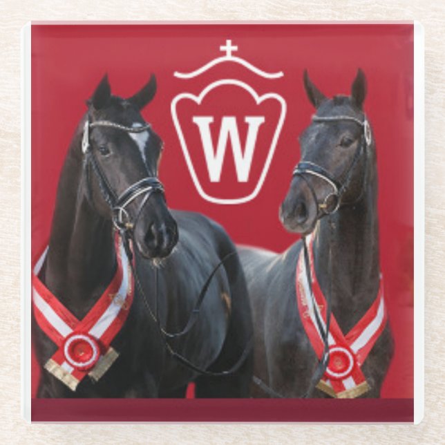 Westfalen Stallion Coasters (Front)