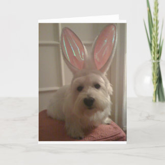 Westhighland Bunny Card