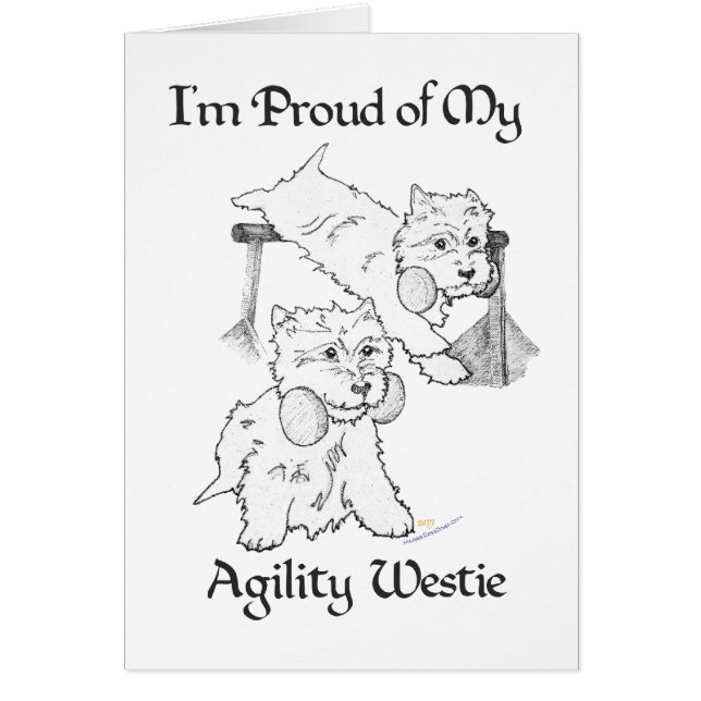 Westie Agilité (Devant)