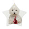 Westie and red candy kiss