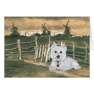 Westie avec Windmills
