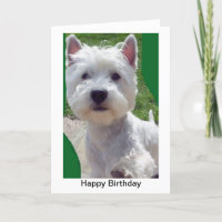 Westie Birthday Card Greetings Card paw up 'Hello'