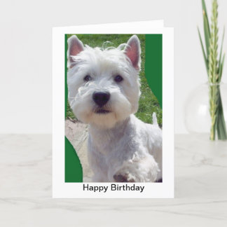 Westie Birthday Card Greetings Card paw up 'Hello'