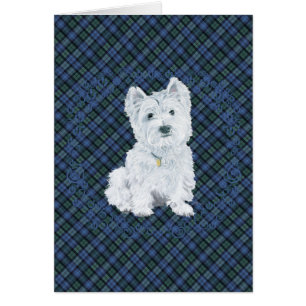 Westie Black Watch Tartan