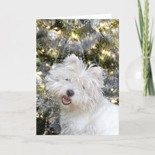 Westie Christmas Holiday Card