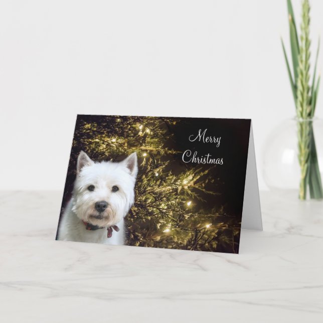 Westie Christmas Holiday Card (Front)