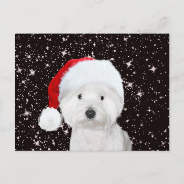 Westie Christmas Postcard (Front)