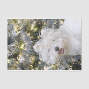 Westie Christmas Tissue Paper