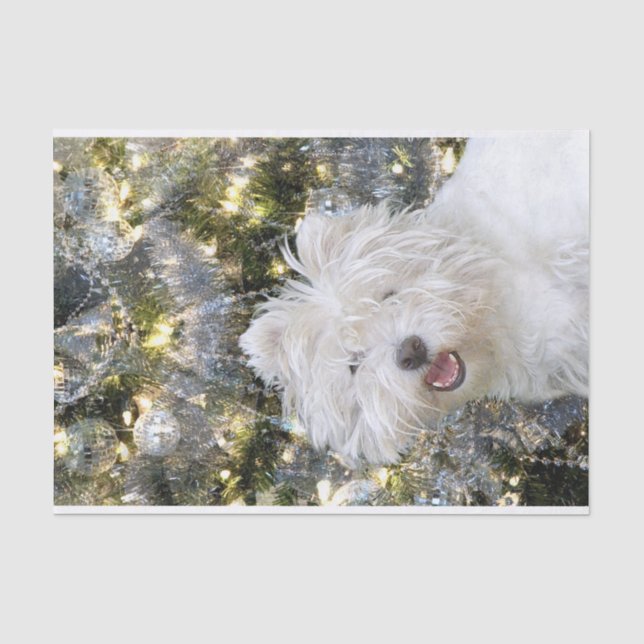 Westie Christmas Tissue Paper (Front)