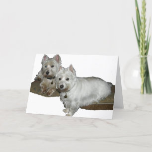 Westie Desi and Lucy Card